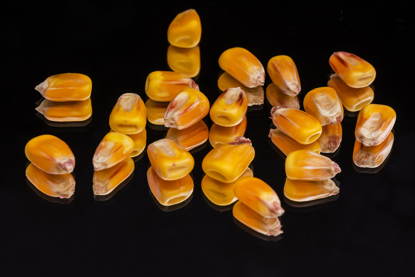 CornBUX