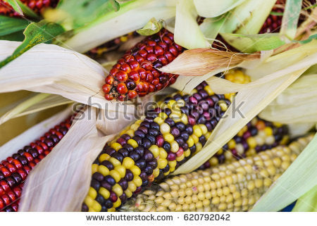 Digital Corn